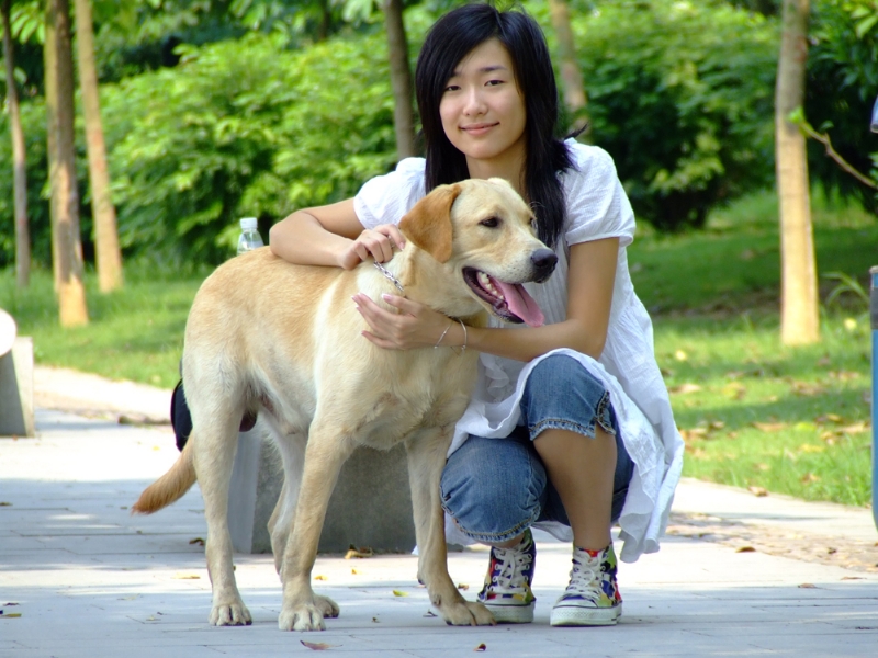 风中的绿叶的第一张照片--台湾认干亲服务网