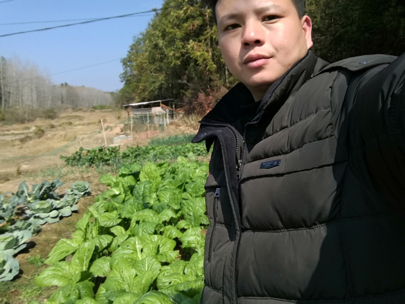 倔强的驴的第一张照片--台湾认干亲服务网