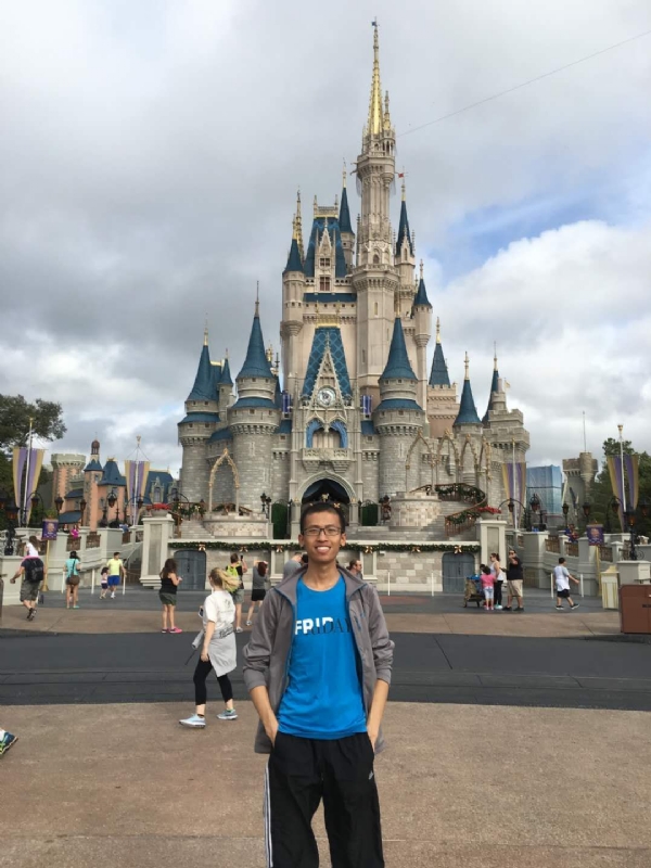 太阳花的第一张照片--台湾认干亲服务网