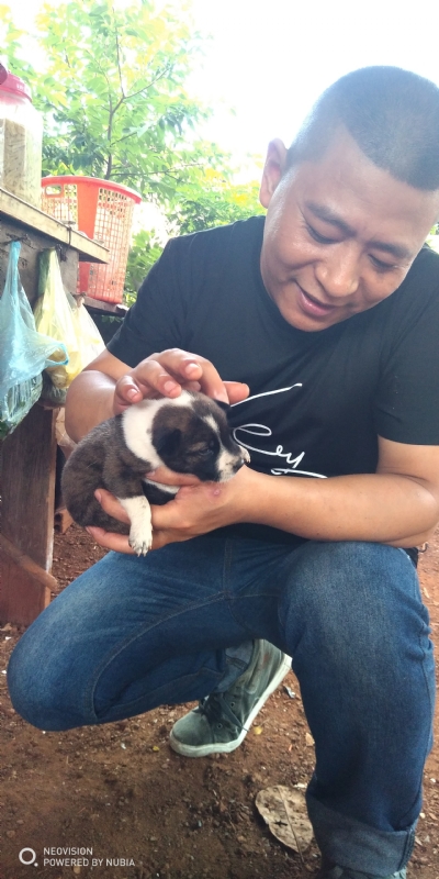 深圳相亲的第一张照片--台湾认干亲服务网