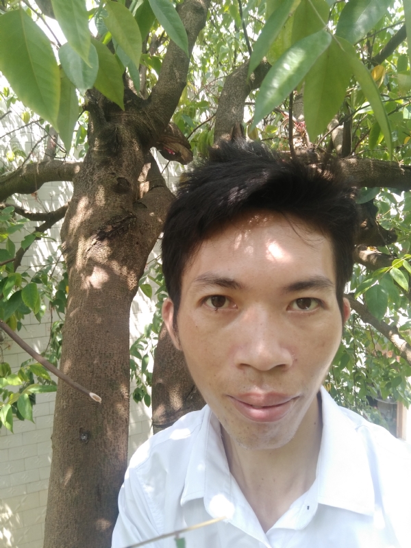 求缘的第二张照片--台湾认干亲服务网