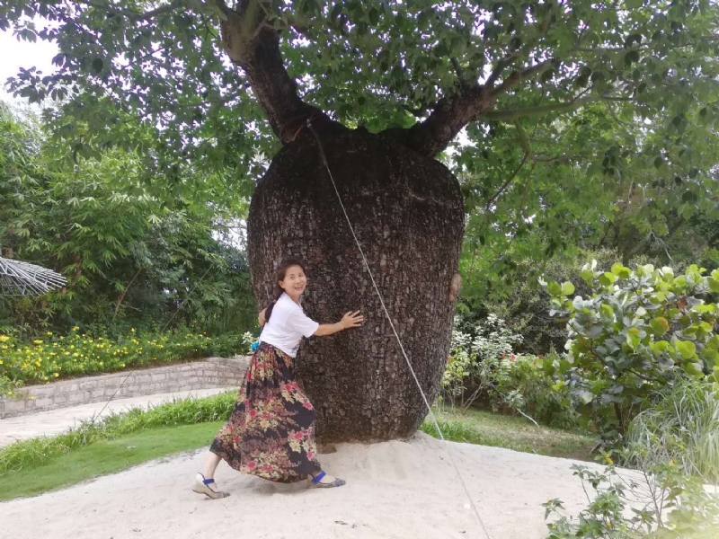 非比的第一张照片--台湾认干亲服务网